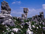 Stone Forest, southern area.