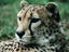 Image_2124-9