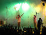 The Cat Empire performing at the Woodford Folk Festival.