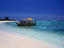 Reef boat, Queensland