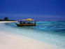 Reef boat near beach.