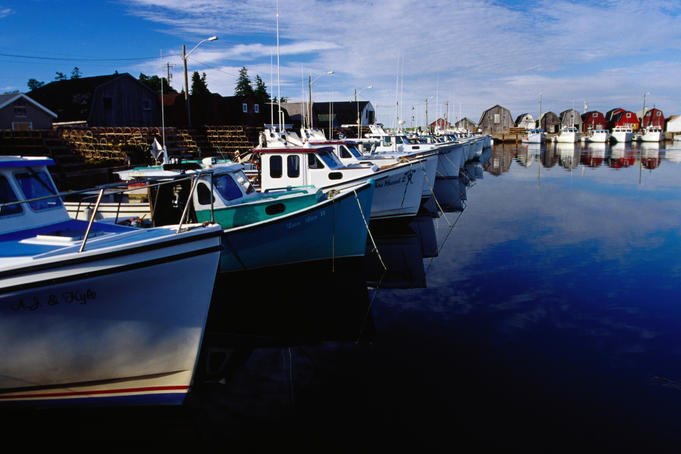 Lobster boats docked near store sheds.