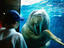Walrus, Sea World, San Diego