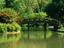 Bridge over lake in Japanese garden at Missouri Botanical Garden.