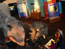 Moving dinosaur exhibit inside St Louis Science Center.