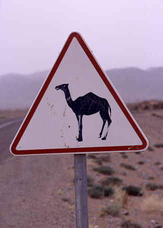 Camel crossing sign in desert near Ouarzazate.