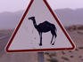 Camel crossing sign in desert near Ouarzazate.
