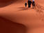 tourists riding Camels, Saharan dunes, Morocco