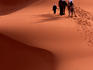 Camel riding tourists taking early morning ride among Saharan dunes.