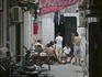 Back alley card game.