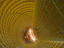 Image_21384-26