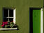 Green cottage, Ireland