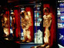 Space Center Astronaut Gallery.