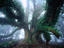 Giant myrtle, Tasmania