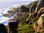 West Coast, Tasmania