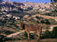 Donkey with the city of Bethlehem in the background.