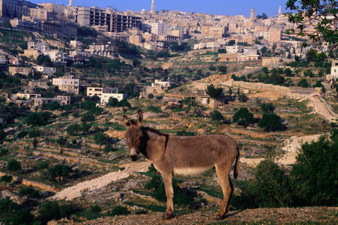 Bethlehem, The Palestinian Territories - Lonely Planet