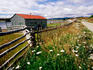 Buildings, fences and wildflowers at oldest estancia (cattle station) in Patagonia.