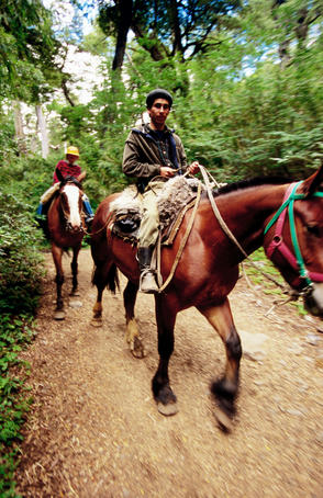 Locals on horseback, Pampa Linda.