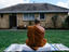 Buddhist monk, Melbourne
