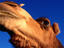 Image_21479-43