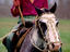 Gaucho on horse, Buenos Aires