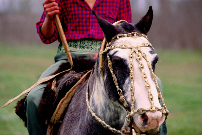 Gaucho on horse, Buenos Aires