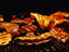 Image_21505-7