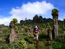 Trekker descending into caldera from crater rim, Sipi Trail, Mt Elgon National Park.