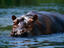 Image_21529-32