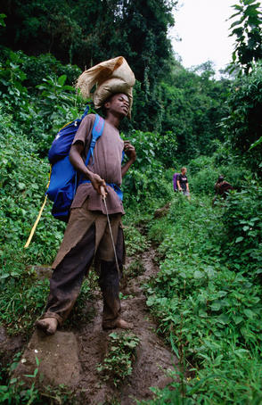 Bare-footed porter ascending Mudange Cliffs on Sasa Trail, Mt Elgon National Park.