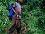 Bare-footed porter ascending Mudange Cliffs on Sasa Trail, Mt Elgon National Park.