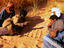 Image_2156-2