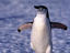 Image_21617-1