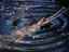Image_21625-37