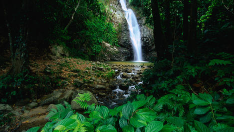 Image_2176-9