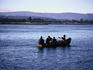Four men in a rowboat - Valdivia, Los Lagos