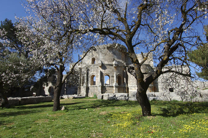 Ruins of 5th century church of St Simeon, with almond trees in foreground.