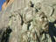 Detail of 'The Hill of the Glory', a monument to the Army of the Andes.