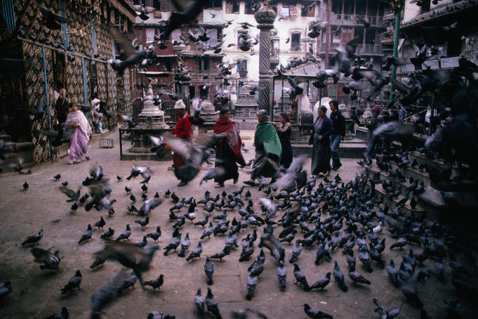 Devotees and pigeons in Seto Machhendranath Temple.