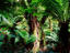 Otway Ranges, Great Ocean Road