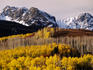 Autumn aspens and Mt Sneffels, Dallas Creek area.