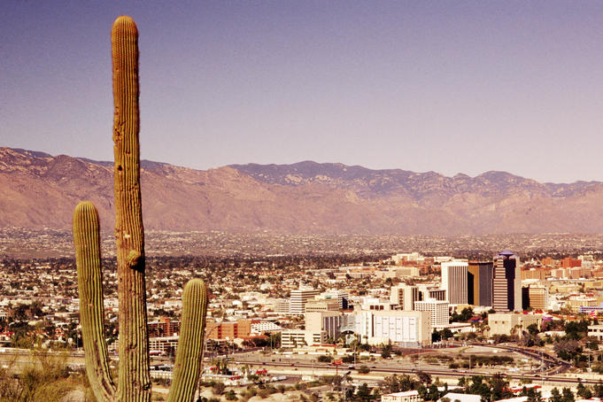 Saguaro cactus and Downtown from Sentinel Peak.