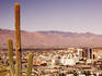 Saguaro cactus and Downtown from Sentinel Peak.