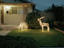 Christmas, California