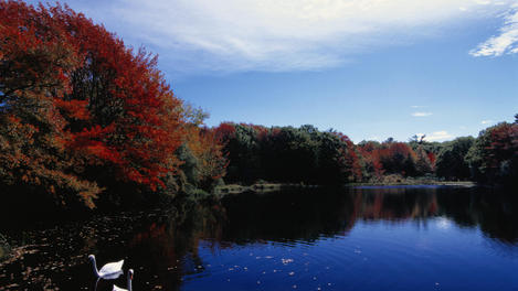 Cape Cod Image Gallery