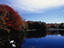 Maine, Cape Cod