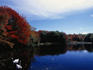 Autumn scene: ducks on a pond - Cape Cod, Maine