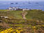 Image_22000-259