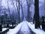 Powazki Cemetery, Warsaw